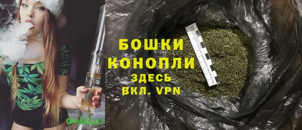 соль ск Козельск
