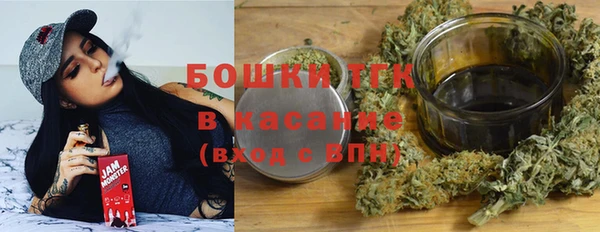 соль ск Козельск