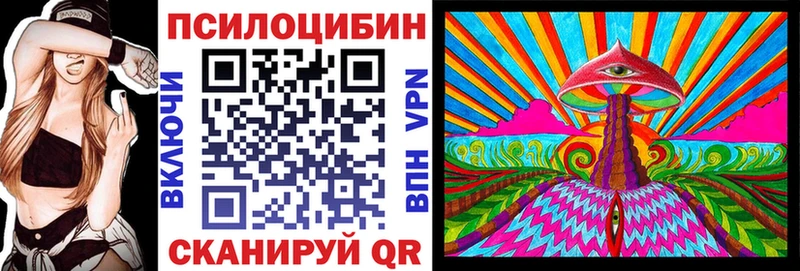 Псилоцибиновые грибы GOLDEN TEACHER  Купить  Ершов 