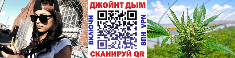 Купить  Ершов  Каннабис сатива 